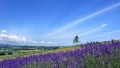 喷水啊啊啊日本一地6日游  境外旅游 6880元/人